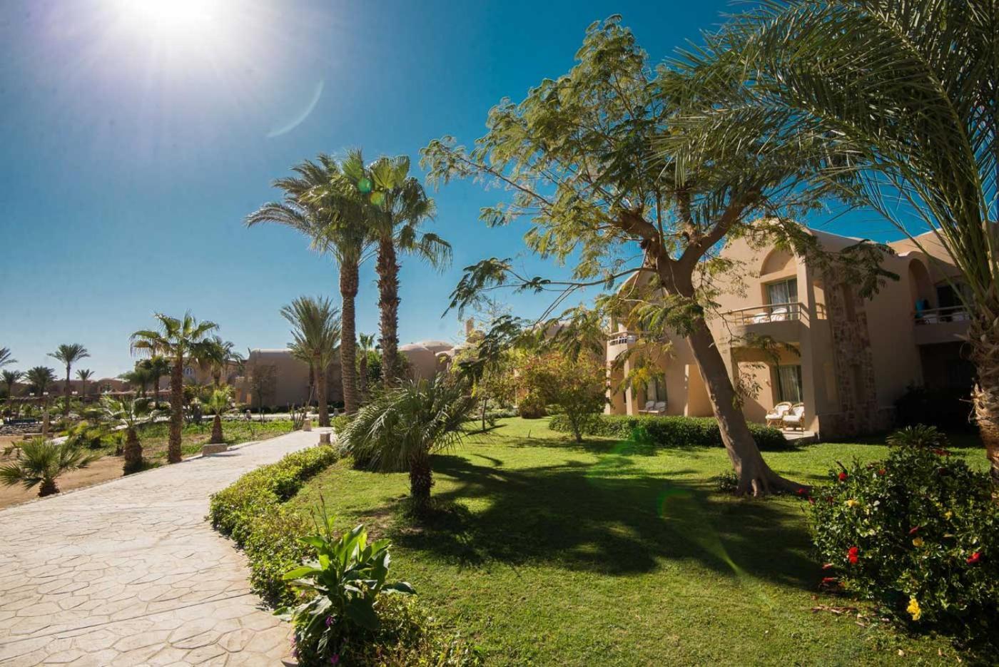 Shams Alam Beach Resort Abū Ghuşūn Esterno foto