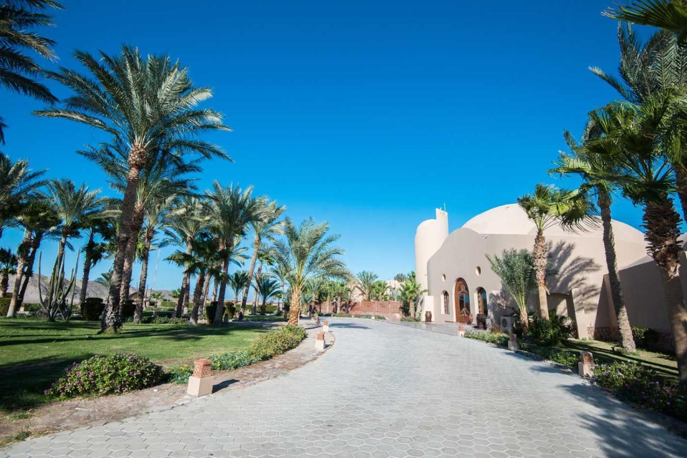 Shams Alam Beach Resort Abū Ghuşūn Esterno foto