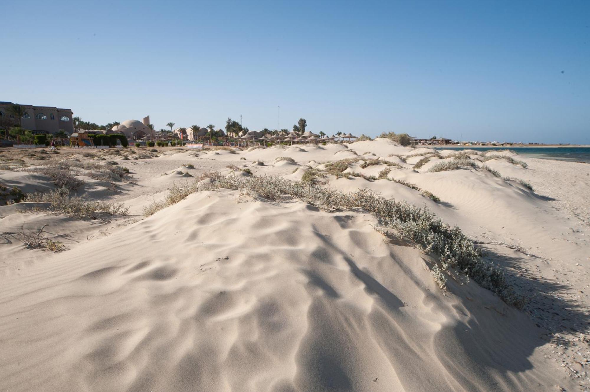 Shams Alam Beach Resort Abū Ghuşūn Esterno foto